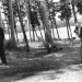 Berenice Abbott Photographing_Harry_Lunn_Lake_Hebron,_Maine_July_25,_1985